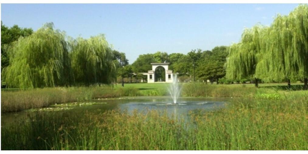 Perfect Place To Enjoy The City Or Just Relax Чикаго Екстериор снимка